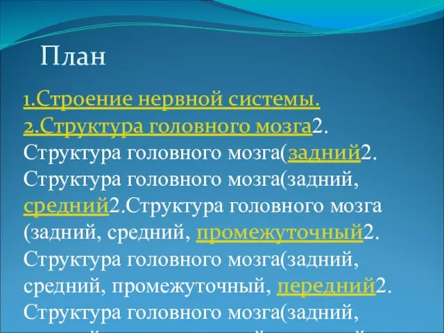 План 1.Строение нервной системы. 2.Структура головного мозга2.Структура головного мозга(задний2.Структура головного