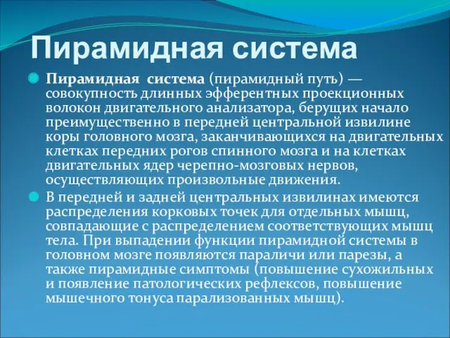 Пирамидная система Пирамидная система (пирамидный путь) — совокупность длинных эфферентных