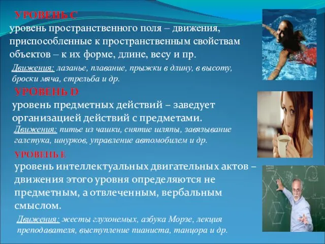 уровень пространственного поля – движения, приспособленные к пространственным свойствам объектов