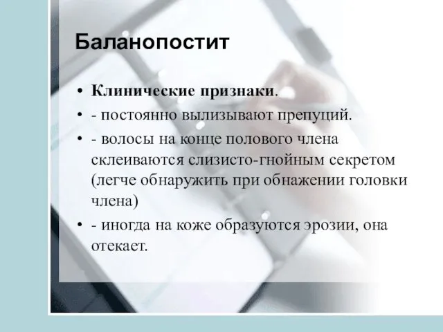 Баланопостит Клинические признаки. - постоянно вылизывают препуций. - волосы на