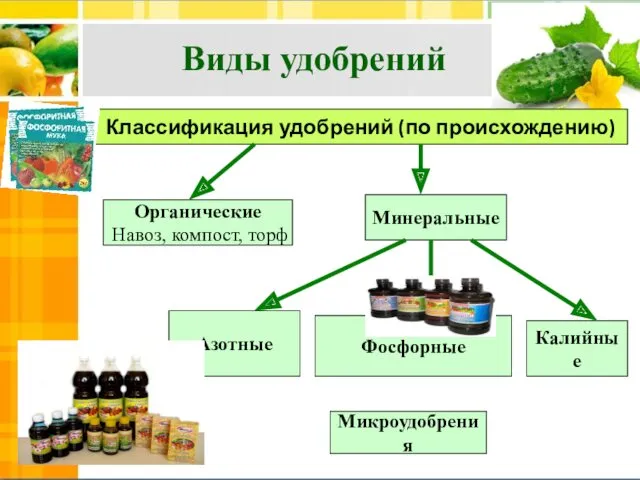 Виды удобрений Органические Навоз, компост, торф Минеральные Классификация удобрений (по происхождению) Азотные Фосфорные Калийные Микроудобрения