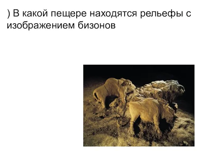 ) В какой пещере находятся рельефы с изображением бизонов