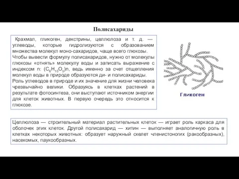 Крахмал, гликоген, декстрины, целлюлоза и т. д. — углеводы, которые