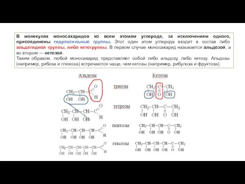 В молекулах моносахаридов ко всем атомам углерода, за исключением одного,