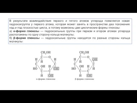 В результате взаимодействия первого и пятого атомов углерода появляется новая