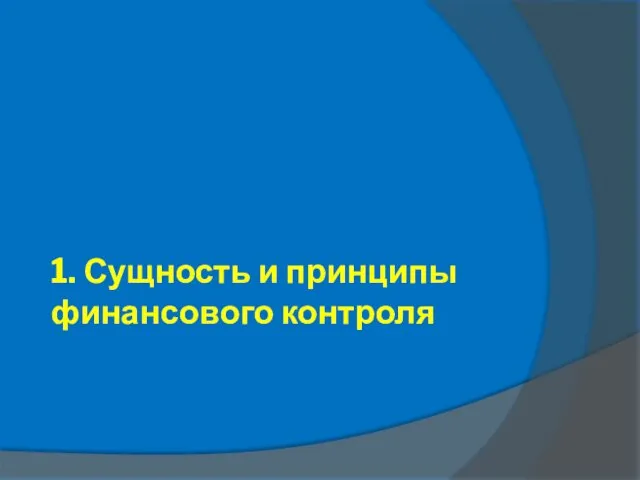 1. Сущность и принципы финансового контроля