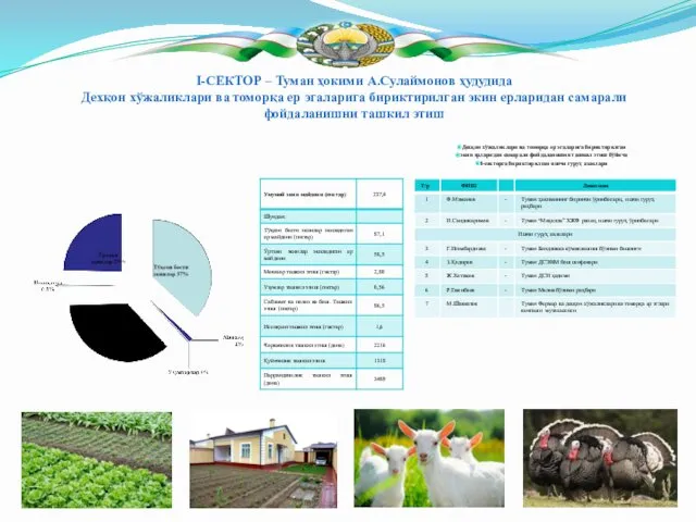 I-СЕКТОР – Туман ҳокими А.Сулаймонов ҳудудида Дехқон хўжаликлари ва томорқа