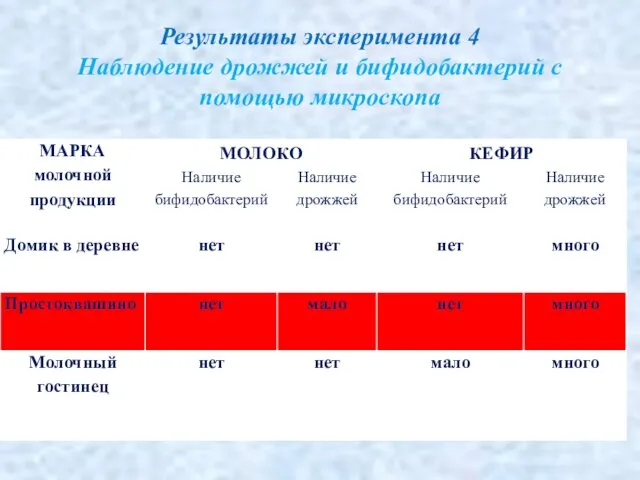 Результаты эксперимента 4 Наблюдение дрожжей и бифидобактерий с помощью микроскопа