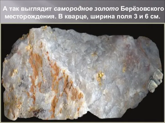 А так выглядит самородное золото Берёзовского месторождения. В кварце, ширина поля 3 и 6 см.