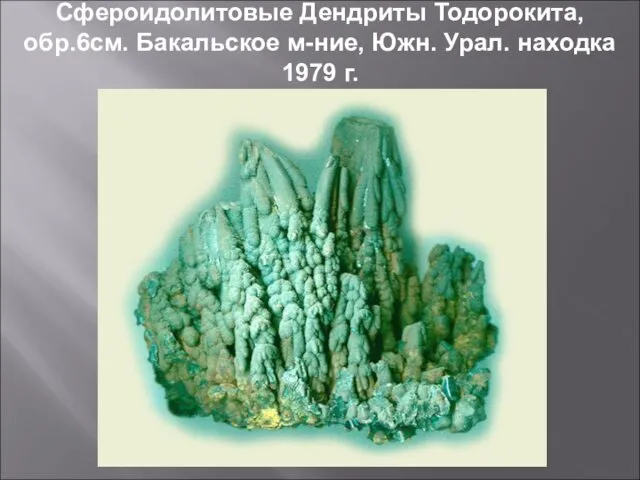 Сфероидолитовые Дендриты Тодорокита, обр.6см. Бакальское м-ние, Южн. Урал. находка 1979 г.