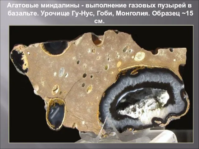 Агатовые миндалины - выполнение газовых пузырей в базальте. Урочище Гу-Нус, Гоби, Монголия. Образец ~15 см.