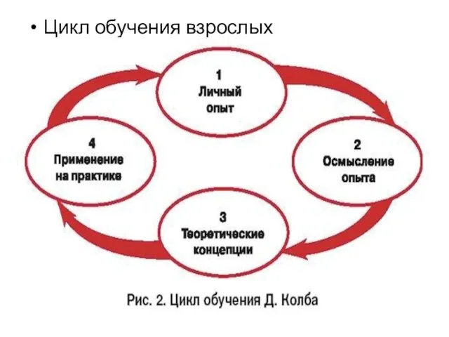 Цикл обучения взрослых