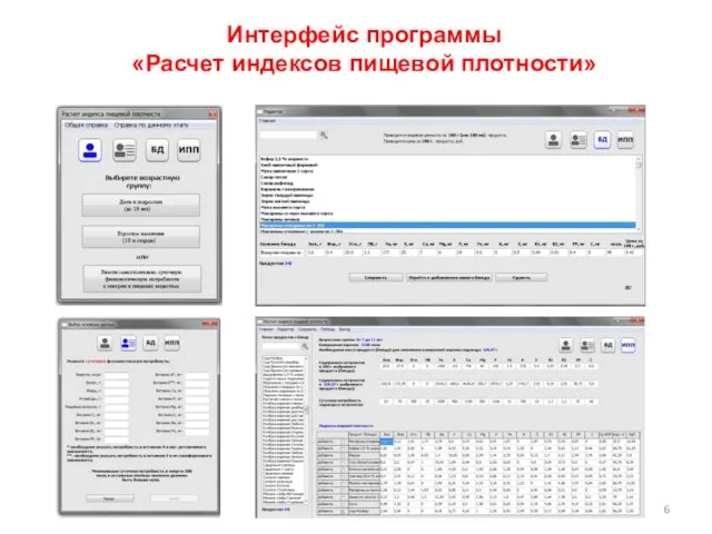 Интерфейс программы «Расчет индексов пищевой плотности»