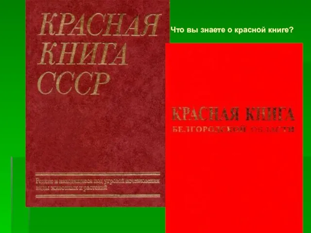 Что вы знаете о красной книге?