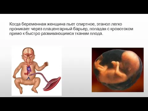 Когда беременная женщина пьет спиртное, этанол легко проникает через плацентарный