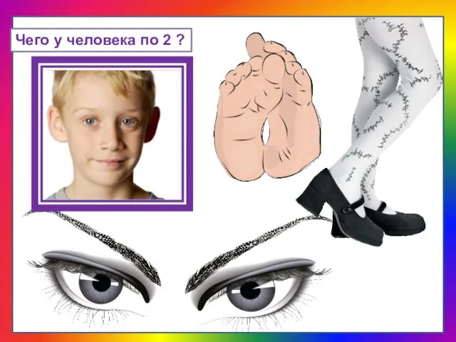 Чего у человека по 2 ?