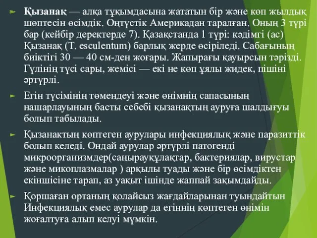 Қызанақ — алқа тұқымдасына жататын бір және көп жылдық шөптесін