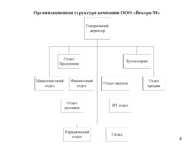 Организационная структура компании ООО «Вектра-М»