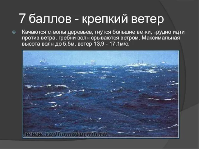 7 баллов - крепкий ветер Качаются стволы деревьев, гнутся большие