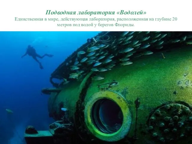 Подводная лаборатория «Водолей» Единственная в мире, действующая лаборатория, расположенная на глубине 20 метров