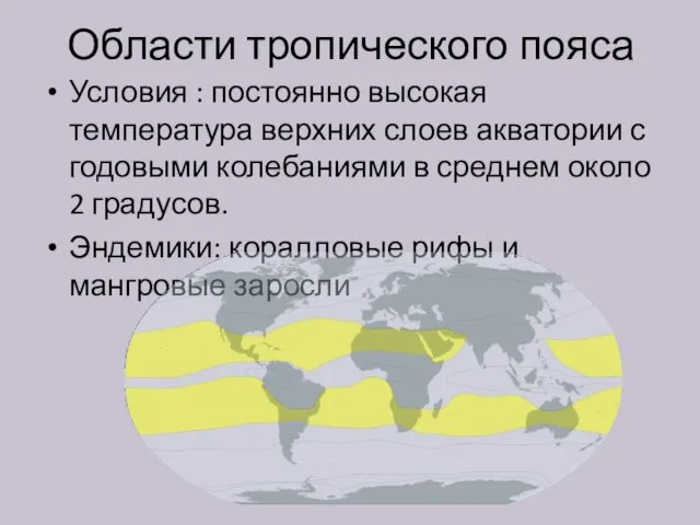 Области тропического пояса Условия : постоянно высокая температура верхних слоев