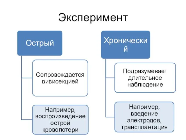 Эксперимент