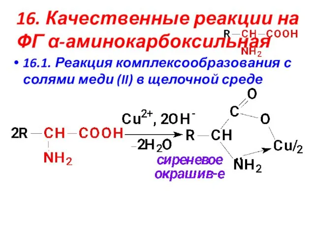 16. Качественные реакции на ФГ α-аминокарбоксильная 16.1. Реакция комплексообразования с солями меди (II) в щелочной среде