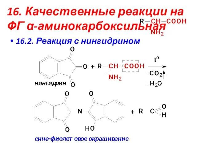 16. Качественные реакции на ФГ α-аминокарбоксильная 16.2. Реакция с нингидрином