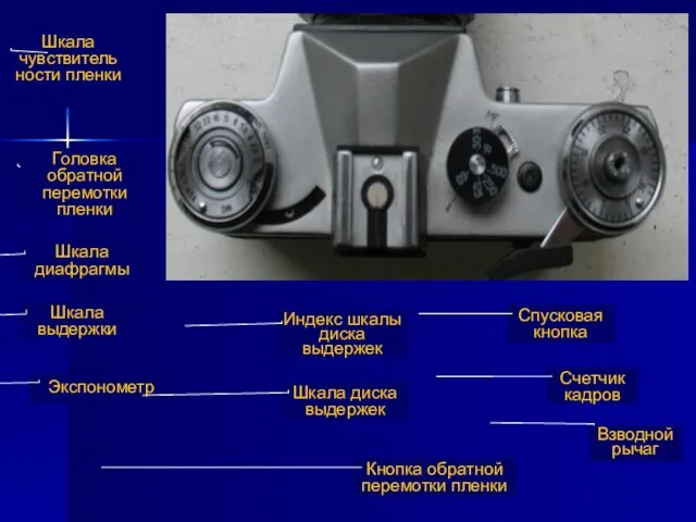 Шкала чувствительности пленки Головка обратной перемотки пленки Шкала выдержки Шкала