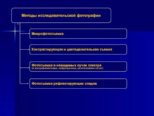 Методы исследовательской фотографии Микрофотосъемка Контрастирующая и цветоделительная съемка Фотосъемка в