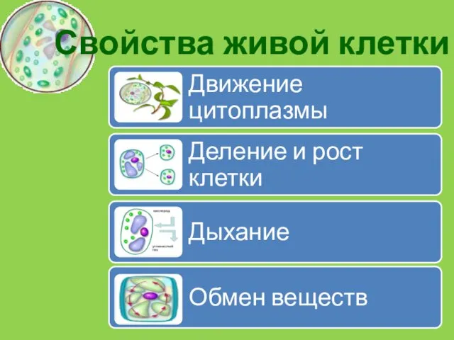 Свойства живой клетки