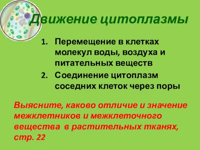 Движение цитоплазмы Перемещение в клетках молекул воды, воздуха и питательных