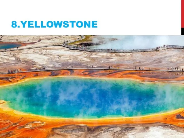 8.YELLOWSTONE