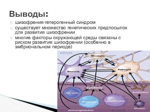 шизофрения-гетерогенный синдром существует множество генетических предпосылок для развития шизофрении многие