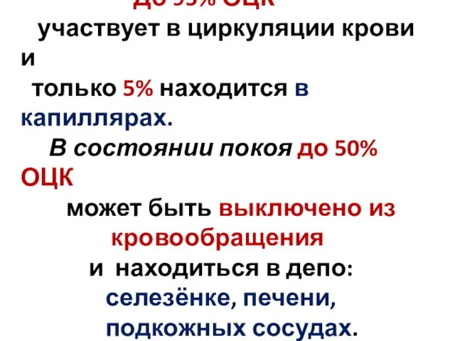 До 95% ОЦК участвует в циркуляции крови и только 5%