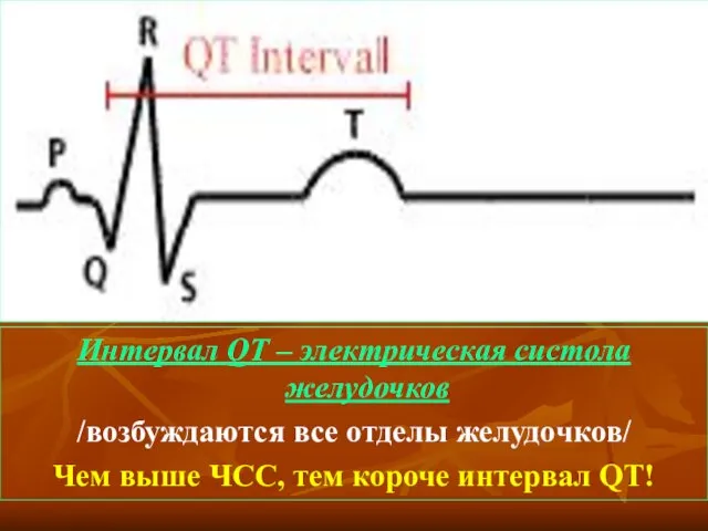 Интервал QT – электрическая систола желудочков /возбуждаются все отделы желудочков/
