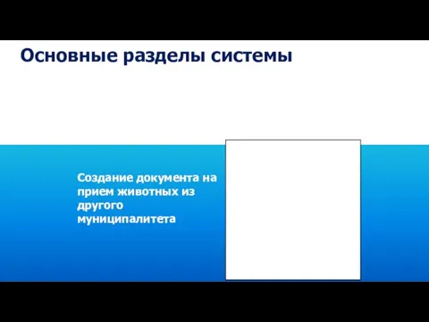 Основные разделы системы Раздел «Прием животных» Создание документа на прием животных из другого муниципалитета