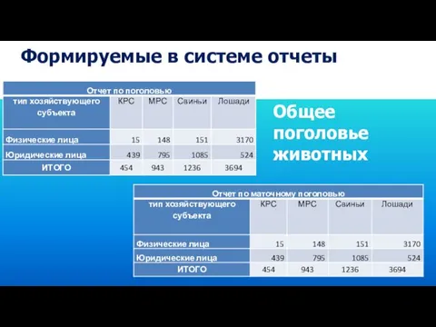 Формируемые в системе отчеты Общее поголовье животных