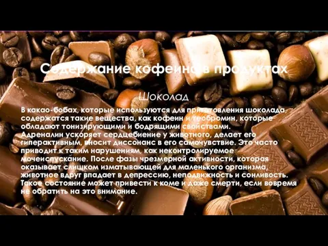 Содержание кофеина в продуктах Шоколад В какао-бобах, которые используются для приготовления шоколада, содержатся
