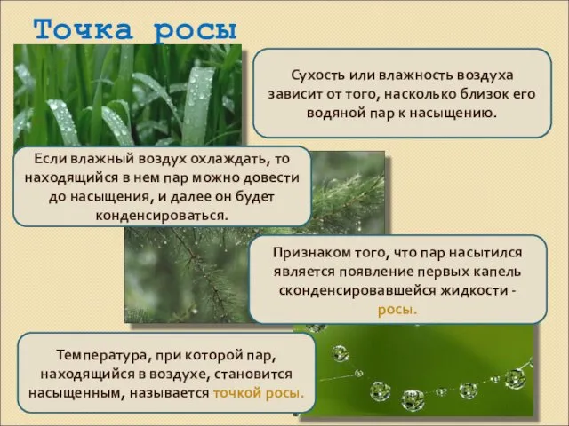 Точка росы Сухость или влажность воздуха зависит от того, насколько близок его водяной