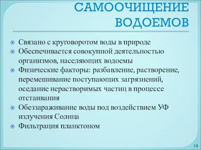 САМООЧИЩЕНИЕ ВОДОЕМОВ Связано с круговоротом воды в природе Обеспечивается совокупной деятельностью организмов, населяющих