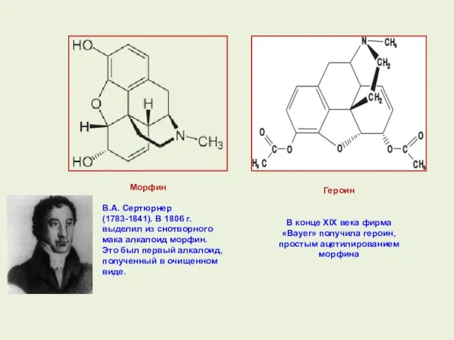 Морфин Героин В конце ХIХ века фирма «Bayer» получила героин, простым ацетилированием морфина