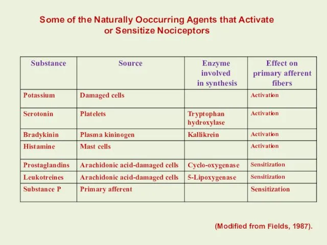 Some of the Naturally Оoccurring Agents that Activate or Sensitize Nociceptors (Modified from Fields, 1987).