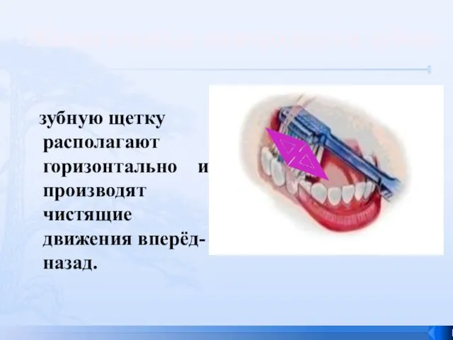 зубную щетку располагают горизонтально и производят чистящие движения вперёд-назад. Жевательные поверхности зубов: