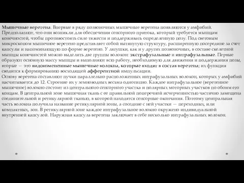 Мышечные веретена. Впервые в ряду позвоночных мышечные веретена появляются у