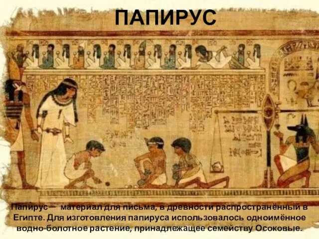 Папи́рус— материал для письма, в древности распространённый в Египте. Для