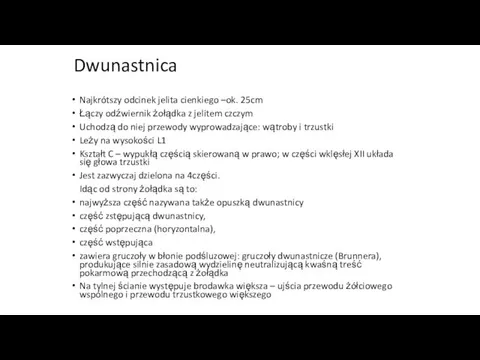 Dwunastnica Najkrótszy odcinek jelita cienkiego –ok. 25cm Łączy odźwiernik żołądka