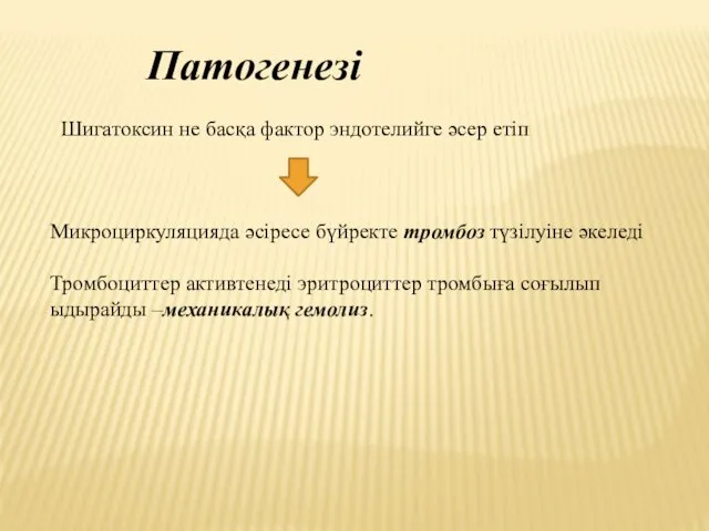 Патогенезі Шигатоксин не басқа фактор эндотелийге әсер етіп Микроциркуляцияда әсіресе