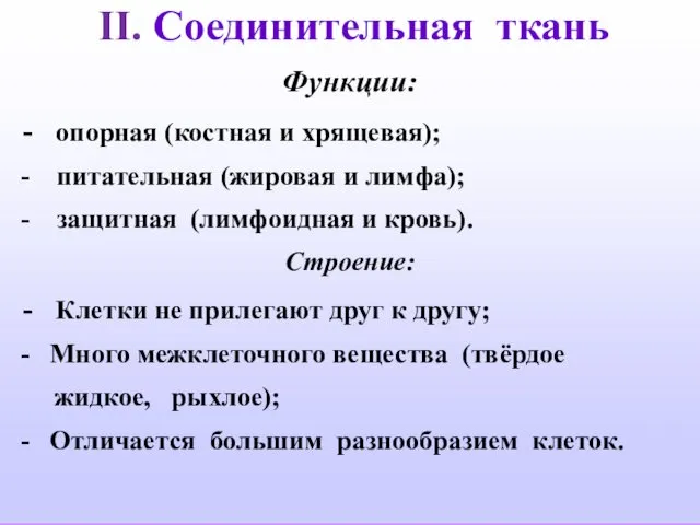 II. Соединительная ткань Функции: - опорная (костная и хрящевая); - питательная (жировая и