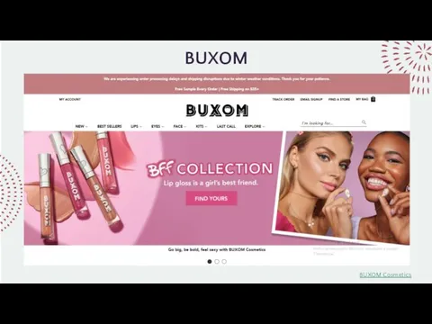 BUXOM BUXOM Cosmetics